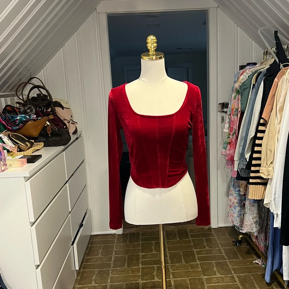 Elodie Velvet Top. NWOT - Picture 2 of 4